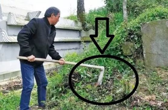 Tổ tiên đã dặn: "3 không trồng trước mộ, 4 không để trên giường", đó là những thứ gì?