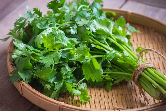 Rau mùi mua về nhanh thối, hỏng: Làm thêm bước này để nửa năm rau mùi vẫn tươi ngon, xanh mơn mởn