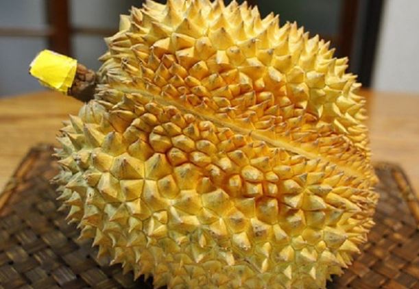 Muốn chọn sầu riêng béo ngậy, chín đều, hạt lép, không bị sượng thì hãy nhớ 5 điều dưới đây