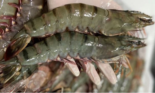 Bật mí cách chọn các loại tôm tươi sống, thịt chắc, ngọt vị và những món ăn hấp dẫn