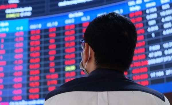 Vi phạm về chứng khoán, Louis Holdings, Gemadept và Vận tải Xăng dầu đường thủy Petrolimex đồng loạt bị xử phạt