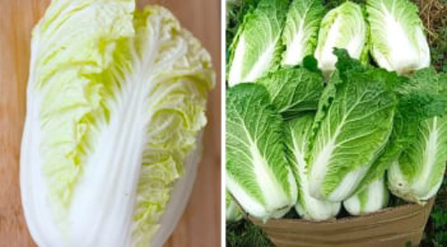 Cải thảo có cây trắng cây xanh, nên chọn loại nào là tốt nhất?