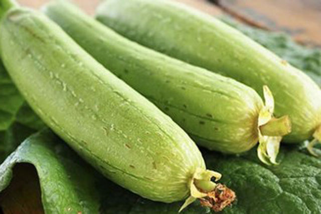 Nhiều vị thuốc từ quả mướp