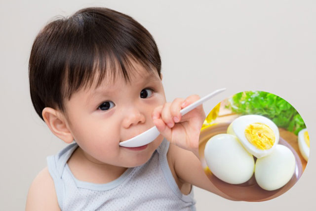 4 sai lầm khi cho trẻ ăn trứng bổ đâu không thấy chỉ thấy hại