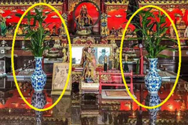 Bàn thờ đừng cắm mỗi hoa cúc: Đây mới là loại cây lộc khí phừng phừng, nghe tên đã phú quý giàu sang