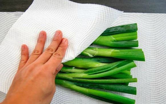 Bảo quản rau đừng cho thẳng vào tủ lạnh, cho thêm 1 tờ giấy ăn vào rau để cả tháng vẫn tươi