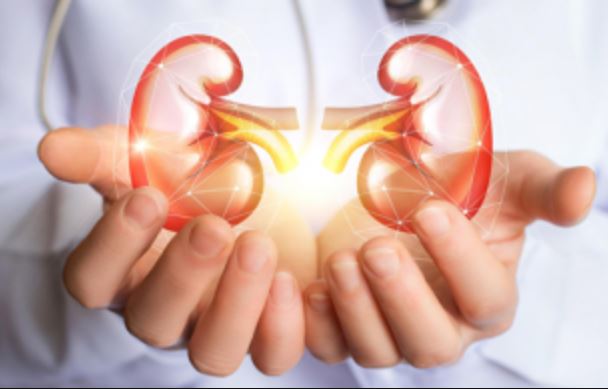 8 thói quen gây hại khiến thận phải "kêu cứu", nhiều người quen làm thường xuyên cũng không hay biết