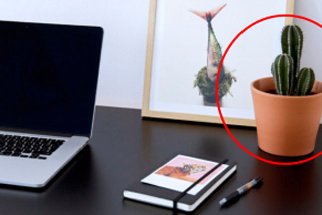 Thầy phong thủy dặn kỹ: Bàn làm việc có 5 thứ này là cản trở tài lộc, khiến công việc bế tắc