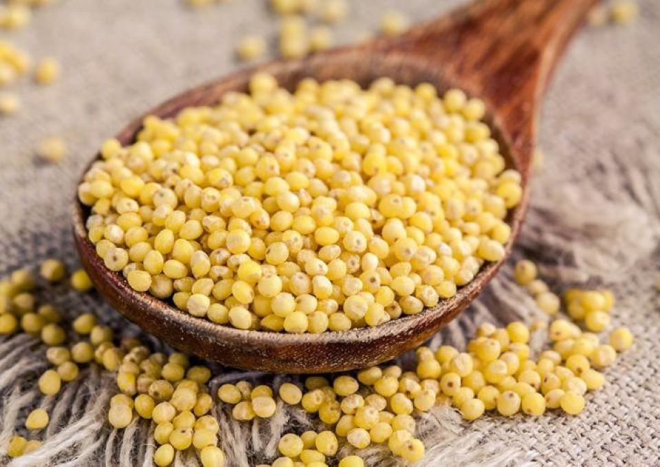 7 loại thực phẩm giúp bạn tăng cường khả năng miễn dịch