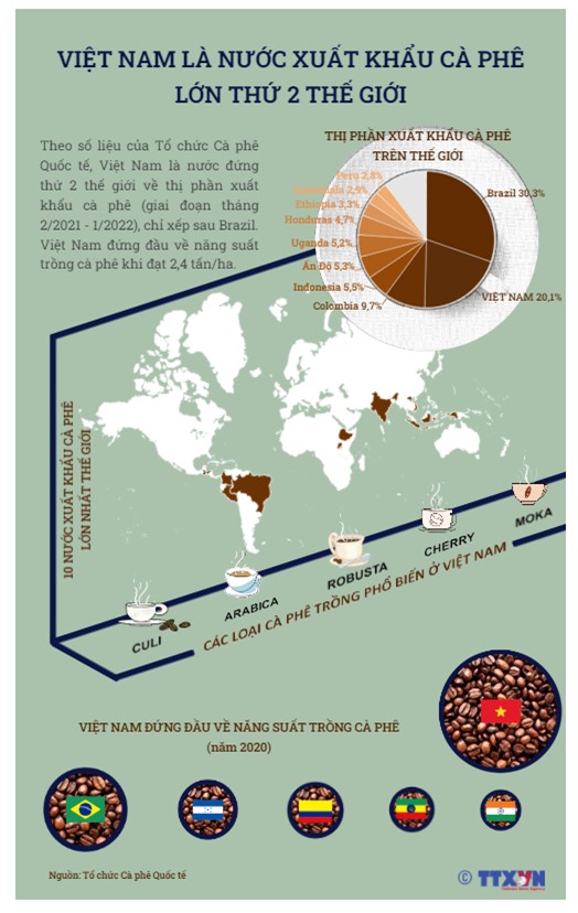 [INFOGRAPHIC] Việt Nam là nước xuất khẩu cà phê lớn thứ 2 thế giới - Ảnh 1.