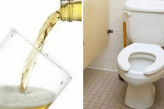 Chỉ với 1 lon bia uống dở, giải quyết rất nhiều vấn đề nhà nào cũng cần