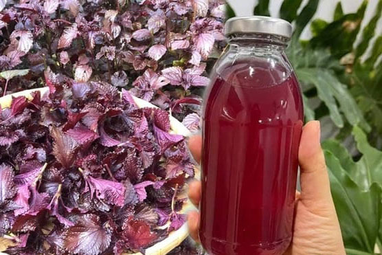 3 c&#xE1;ch d&#xF9;ng l&#xE1; t&#xED;a t&#xF4; gi&#x1EA3;m c&#xE2;n, d&#x1B0;&#x1EE1;ng nhan, gi&#xFA;p ch&#x1ECB; em &#x111;&#x1EB9;p t&#x1EEB; trong ra ngo&#xE0;i