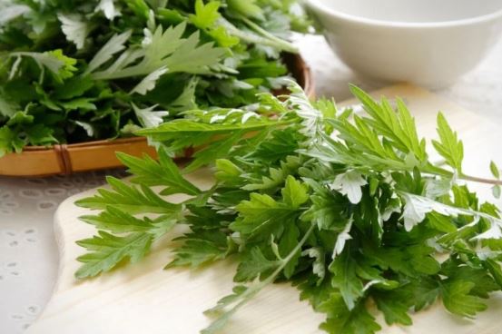 Thứ rau đắng kén người ăn không ngờ làm được nhiều món ngon bổ dưỡng