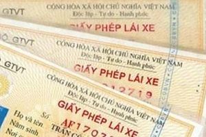 Phát hiện 43 tài xế dùng giấy phép lái xe giả ở Nghệ An