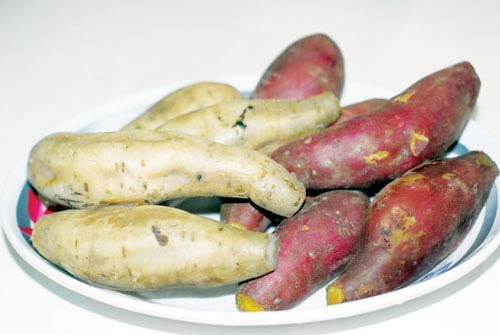 Giảm cân bằng nước khoai lang: Mỡ thừa dần dần không cánh mà bay