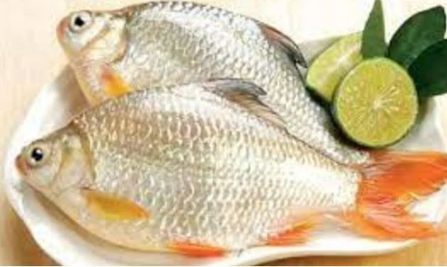 Loại cá chỉ 20 nghìn đồng mua được cả mớ, nhiều người chê nhưng cực giàu dinh dưỡng, ăn vào 'bổ ngang bổ dọc'