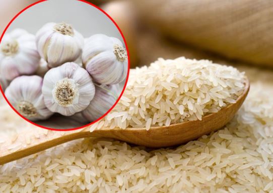 Gạo để lâu hay bị mốc, mọt: Bảo quản theo cách này gạo để cả năm không mốc, côn trùng không dám bò vào