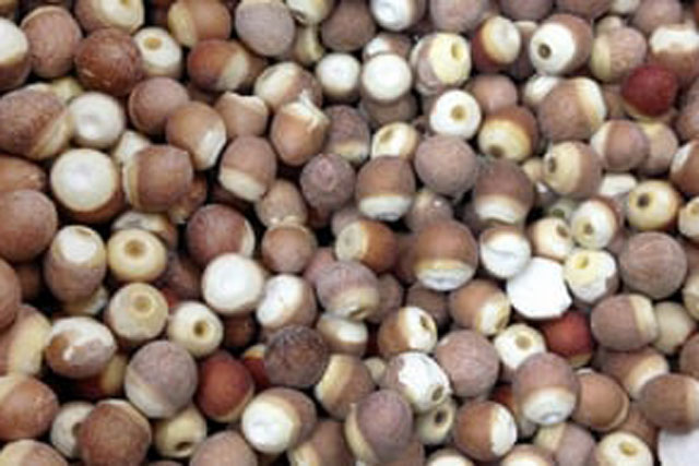 4 loại hạt là ‘tứ đại bổ dưỡng’: Tăng cường sức khỏe gan, thận, đường ruột