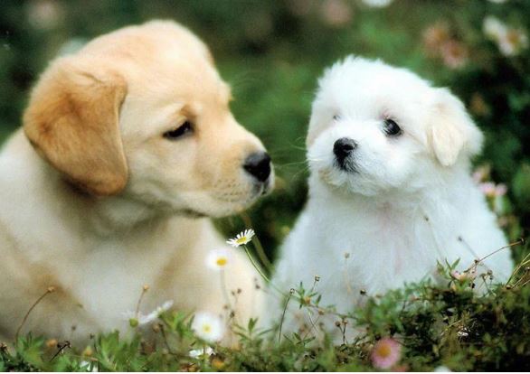 Phú quý đến muộn: 4 tuổi khổ trước sướng sau, càng già càng nhiều lộc