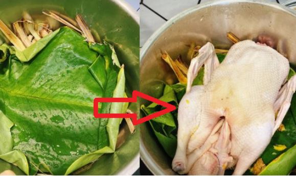 Vịt luộc chỉ dùng nước lạnh và gừng sai bét: Thả thêm thứ này thịt hết sạch mùi hôi, đậm vị ngọt