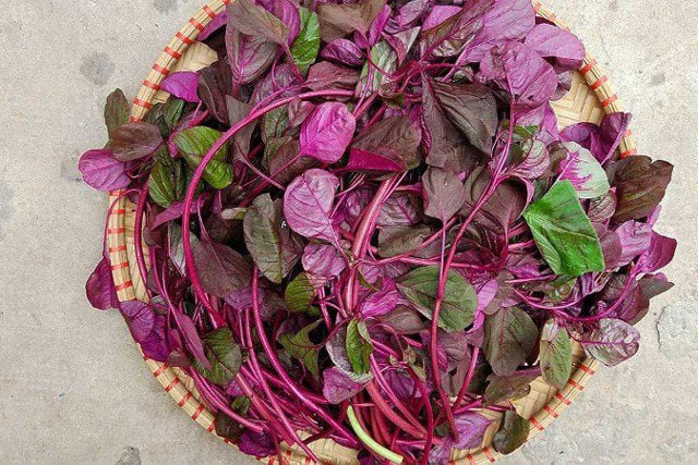 5 loại rau “bổ hơn thịt, rẻ hơn thuốc”, bán đầy chợ nhưng chẳng ai biết mà mua về