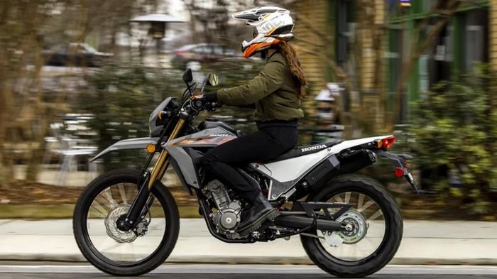 2 m&#x1EAB;u m&#xF4; t&#xF4; Honda c&#xF3; gi&#xE1; ph&#x1EA3;i ch&#x103;ng cho ng&#x1B0;&#x1EDD;i m&#x1EDB;i ch&#x1A1;i