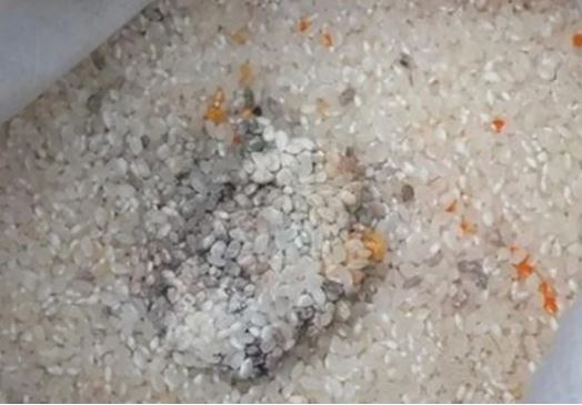 Người bán gạo tiết lộ: Có 3 loại gạo cho tiền cũng đừng mua vừa tốn tiền lại dễ mắc bệnh hiểm nghèo