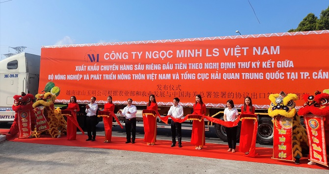 Cần Thơ xuất chính ngạch 18 tấn sầu riêng sang Trung Quốc