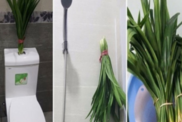 7 cách tự nhiên giúp loại bỏ mùi hôi nhà vệ sinh chung cư hiệu quả