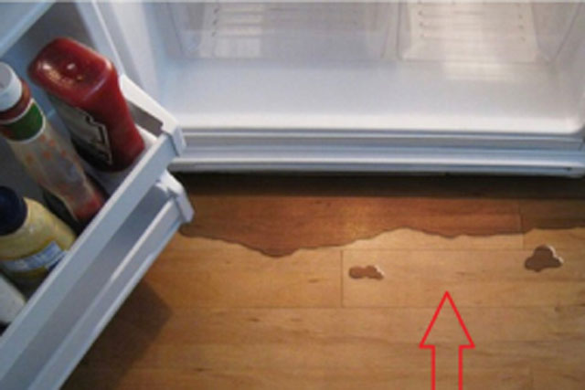Tủ lạnh chảy nước không mát đừng vội gọi thợ: Làm theo cách này không mất tiền, tiết kiệm điện