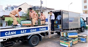 Bạc Liêu: Phát hiện 600 kg tôm bơm tạp chất agar trên đường đi tiêu thụ