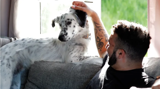 Chó mèo có thể truyền vi khuẩn kháng thuốc cho chủ