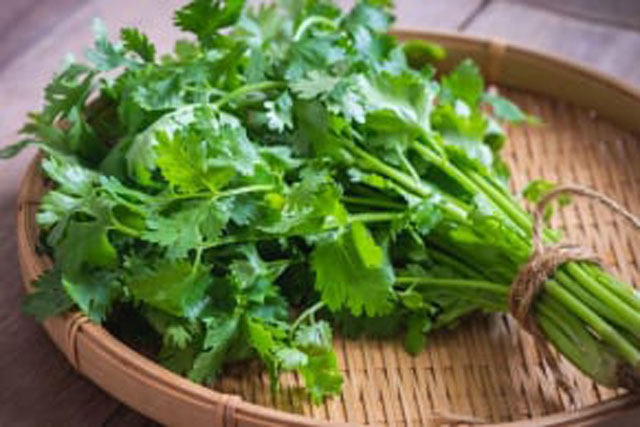 Một thứ rau gia vị quen thuộc, tưởng chỉ tô điểm cho món ăn hóa ra còn đem lại rất nhiều lợi ích