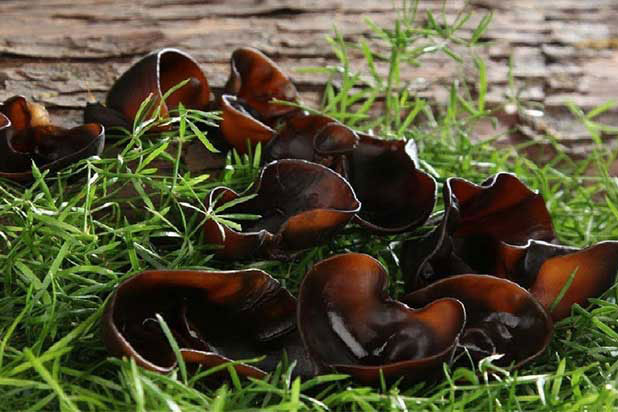 3 loại thực phẩm là ‘máy rửa sạch ruột’ tự nhiên: Giá rẻ bèo ai cũng có thể mua