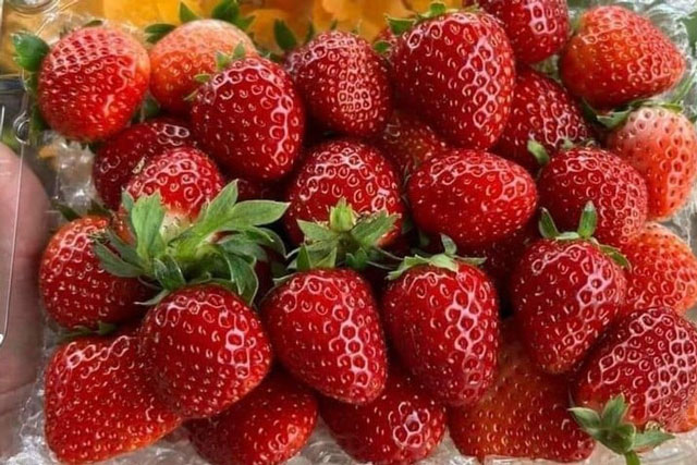 3 người tuyệt đối không được ăn dâu tây