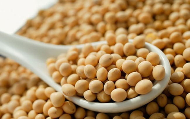 Kiến nghị giảm thuế nhập khẩu khô đậu tương