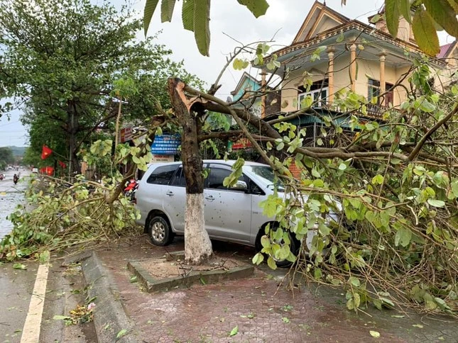 Mưa đá, kèm lốc xoáy khiến nhiều cây cối bị đổ gãy, gây ách tắc giao thông,