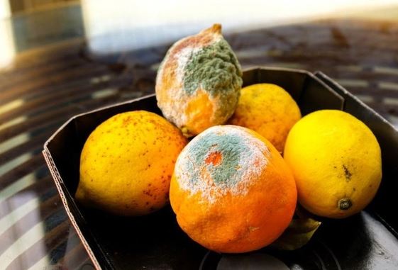 Loại trái cây chứa chất gây ung thư nằm trong "danh sách đen" của WHO