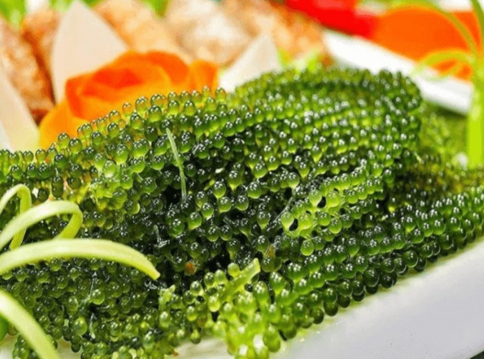 Loại rau có lượng canxi gấp 7 lần sữa, ăn ngon lại chống ung thư