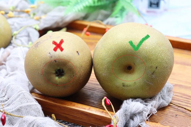 2 bí quyết chọn lê giòn ngọt, không "ngậm" hóa chất