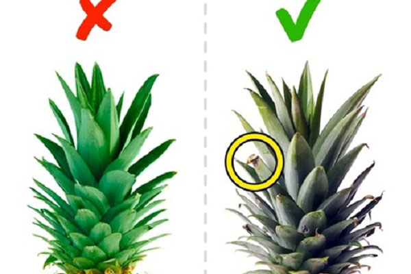 Mua hoa quả mà biết những mẹo này thì đảm bảo chọn 10 loại quả ngon cả 10