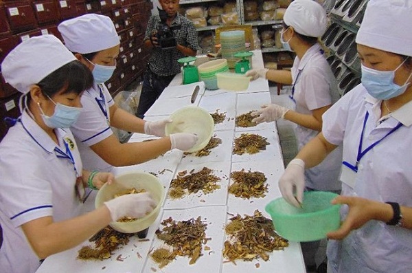 Hỗ trợ doanh nghiệp tham gia thị trường dược liệu toàn cầu 