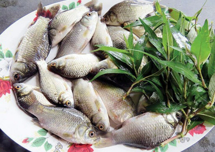 Loại cá giá rẻ bán đầy chợ lại là thực phẩm giàu dinh dưỡng, "bổ đủ thứ"