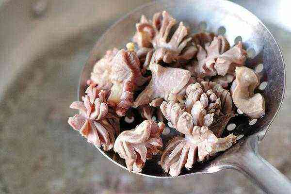 Bộ phận nhỏ bé của con gà đã rẻ lại ngon, nếu thấy mua ngay làm món này