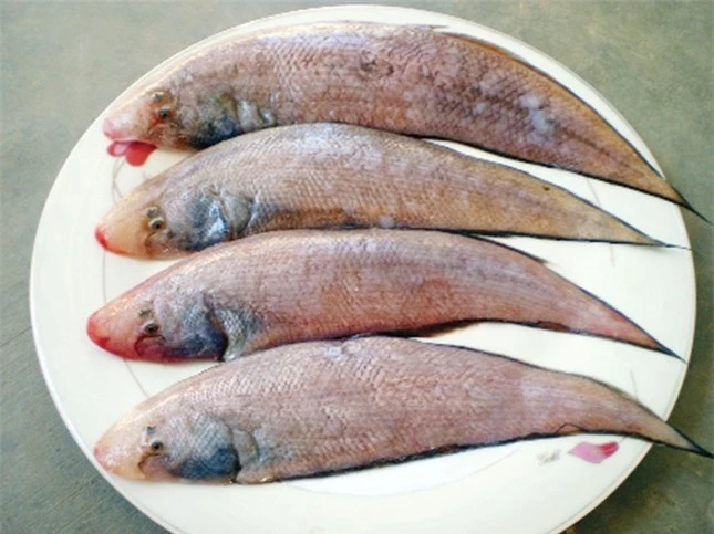 Đi chợ thấy những loại cá này nên mua ngay bởi cá ngọt thịt, ít xương lại giàu dinh dưỡng ảnh 3