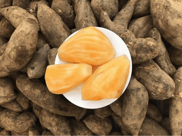 Loại củ xấu xí, giá rẻ như khoai không ngờ ăn ngon, bổ dưỡng ngang nhân sâm