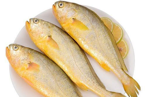 &#x110;i ch&#x1EE3; th&#x1EA5;y nh&#x1EEF;ng lo&#x1EA1;i c&#xE1; n&#xE0;y n&#xEA;n mua ngay b&#x1EDF;i c&#xE1; ng&#x1ECD;t th&#x1ECB;t, &#xED;t x&#x1B0;&#x1A1;ng l&#x1EA1;i gi&#xE0;u dinh d&#x1B0;&#x1EE1;ng