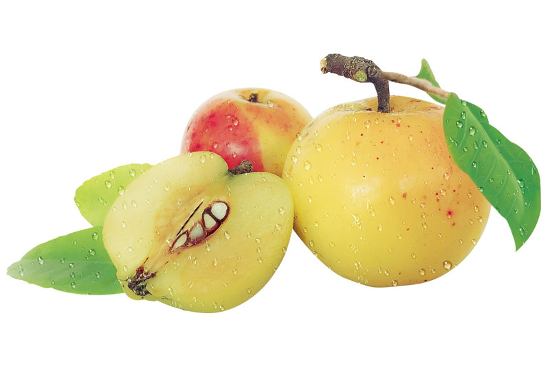 Muốn giảm eo, hãy tìm đến táo mèo