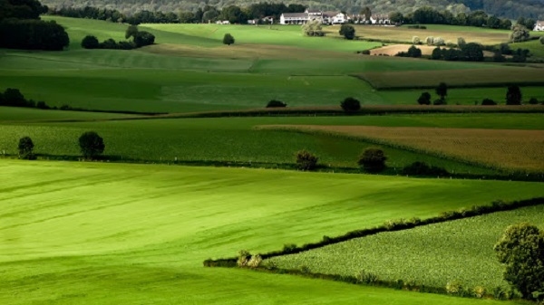 Tín hiệu "mở" để hình thành thêm các dự án nông nghiệp quy mô lớn