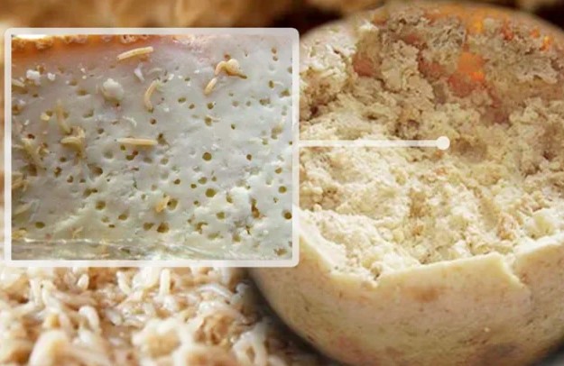 Top 10 món ăn kinh dị nhất thế giới: Người 'nhắm mắt nhắm mũi' khen ngon, kẻ gọi 'huệ' ngay từ giây phút đầu